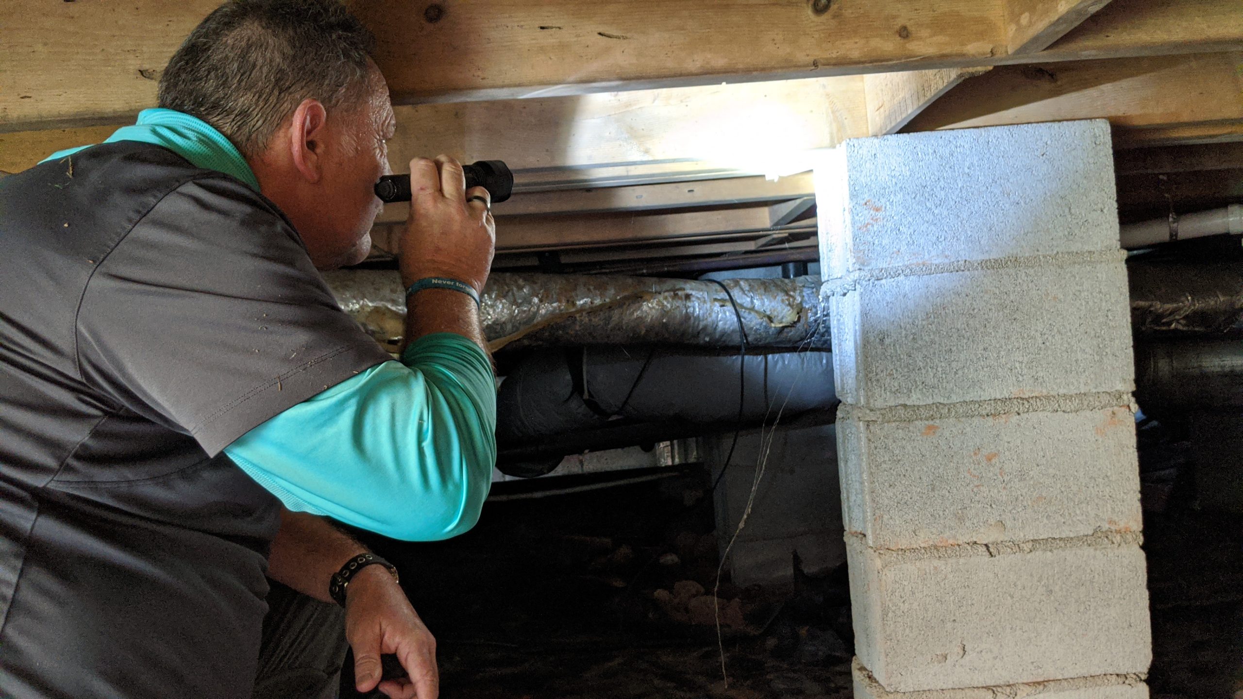 Pest Control Technician looking for signs of moisture and fungus in crawlspace