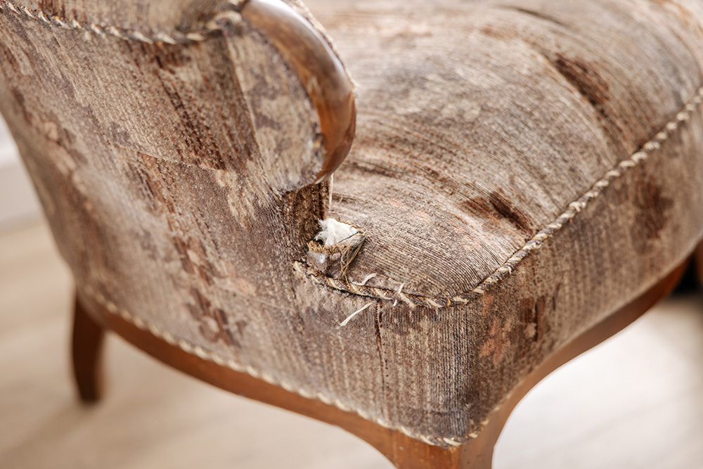 bed beg under blanket